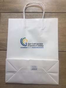 ECGC Gift Bag A4