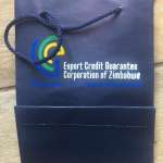 ECGC Gift bag A5